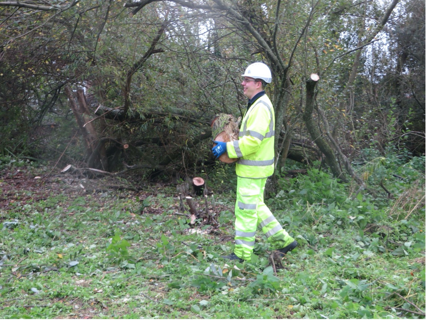 From Communications & Social Value Manager to Tree Surgeon 